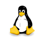 linux